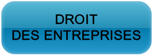dt-entreprises