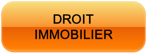 dt-immobilier
